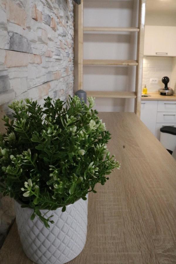 Studio Apartman Chiara Zagreb Exteriör bild